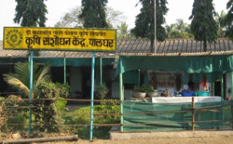 पालघरच्या कृषी संशोधन केंद्रात शास्त्रज्ञांच्या खुर्च्या रिकाम्या