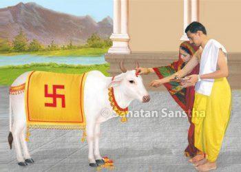 वसुबारस आणि गुरुद्वादशी