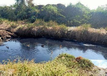 प्रदूषण प्रकरणी ग्रामपंचायतीचा घुमजाव!