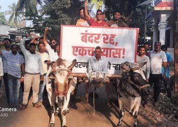 मुंबई कफपरेड ते झाई पर्यंत किनारपट्टी कडकडीत बंद