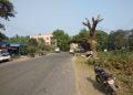 रस्ता रुंदीकरणात बेसुमार वृक्ष तोड