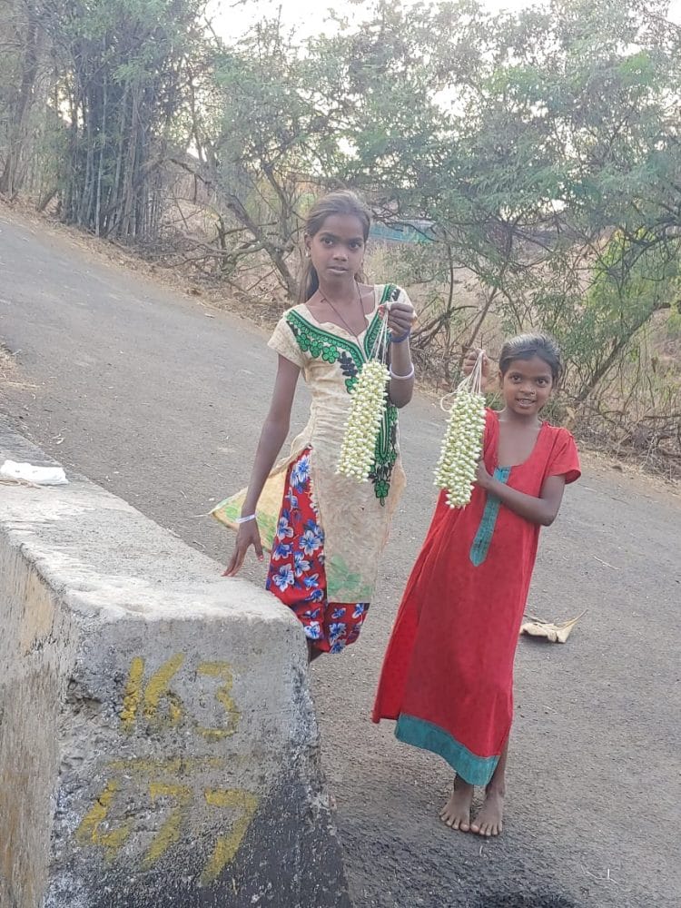 आदिवासी शेतकरी मोगरा लागवडीकडे