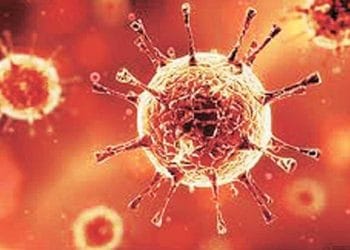 पालघरमध्ये करोना बळावतोय..