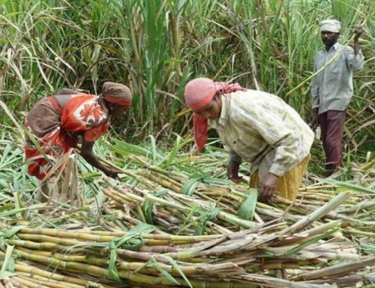 ऊसतोड कामगारांच्या मुलांसाठी शासकीय वसतीगृह योजना