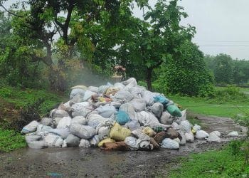 महामार्गालगत लावली जात घातक रासायनिक घनकचऱ्यांची विल्हेवाट