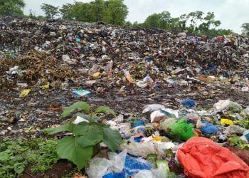 वाड्यात स्मशान भुमीचा रस्त्यावरच कचरा भूमी