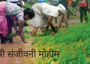 मुख्यमंत्री, उपमुख्यमंत्र्यांच्या उपस्थितीत कृषी संजीवनी मोहिमेचा समारोप