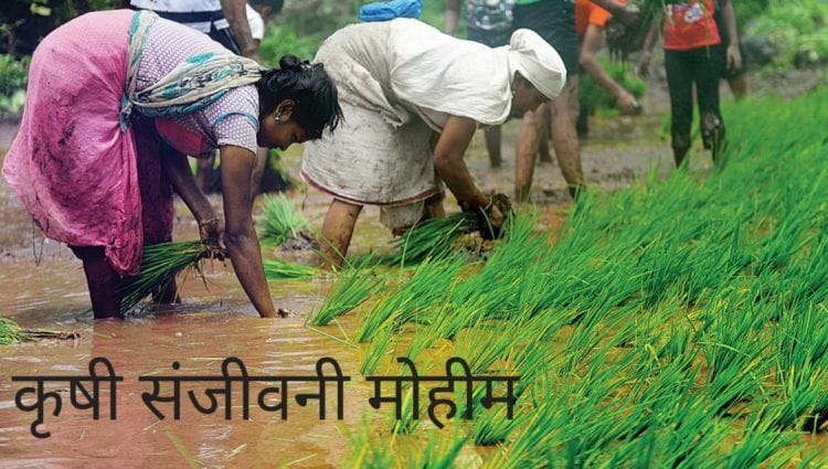 मुख्यमंत्री, उपमुख्यमंत्र्यांच्या उपस्थितीत कृषी संजीवनी मोहिमेचा समारोप