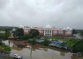 पालघरला पावसाने झोडपले