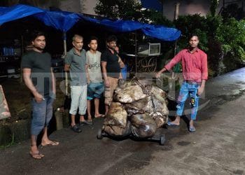 घातक रासायनिक घनकचरा ताब्यात