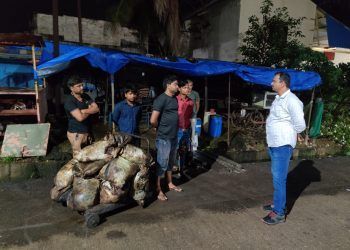 सत्तर बंगल्याचा आँईल माफिया मोकाट!