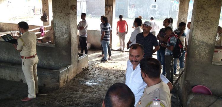 बोईसरमध्ये गरोदर गाईची हत्या