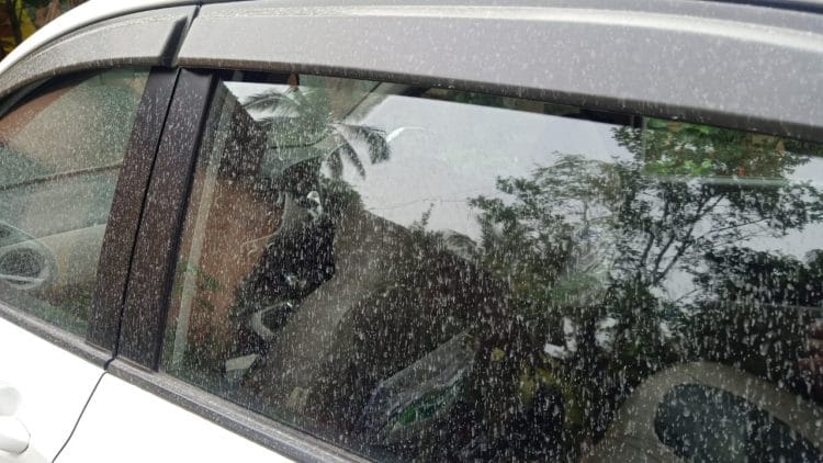 मुंबईसह पालघरला पाकिस्तानच्या वादळाचा फटका