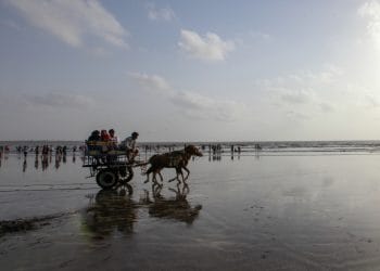 केळवे समुद्रात चार मुलांचा बुडून मृत्यू