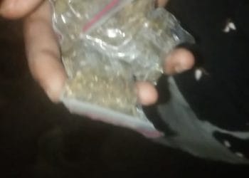 पत्रकारांच्या सतर्कतेमुळे गांजा विकणारा पोलिसांच्या ताब्यात