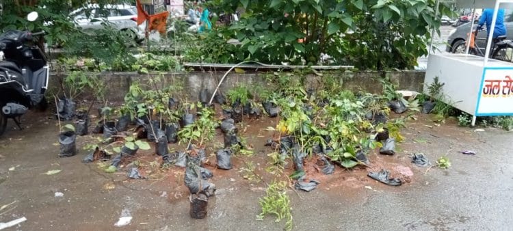 बोईसरमध्ये रोपटे वाटपचा निव्वळ देखावा