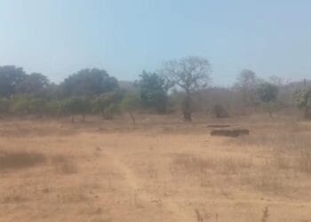 गारगावच्या कोट्यवधींच्या जागेवर तहसिलदारांचे लक्ष!