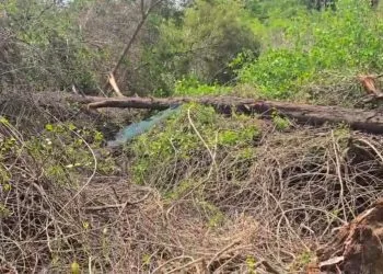 सरकारने वाढवण लगतची कोट्यावधीची जागा घातली खाजगी कंपनीच्या घशात