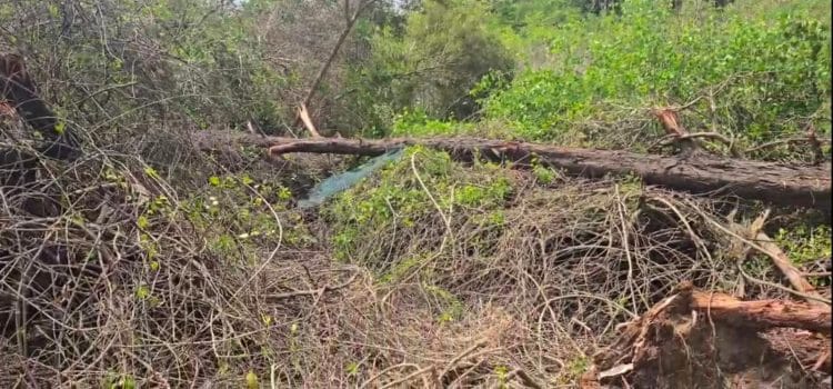 सरकारने वाढवण लगतची कोट्यावधीची जागा घातली खाजगी कंपनीच्या घशात