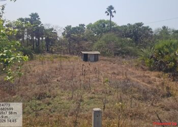 स्थानिक दलालांना हाताशी धरून मोकळ्या जागेत दाखवली लाखोची झाडे; वाढवण बंदर भूसंपादन प्रक्रियेची पुन्हा तपासणी सुरू