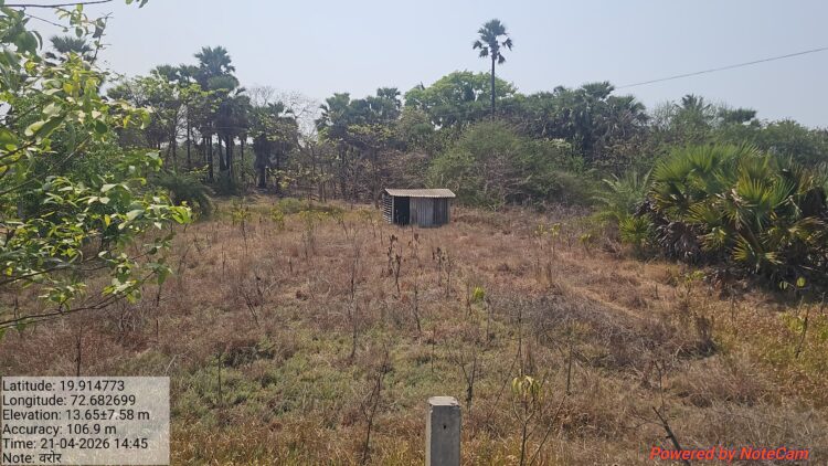 स्थानिक दलालांना हाताशी धरून मोकळ्या जागेत दाखवली लाखोची झाडे; वाढवण बंदर भूसंपादन प्रक्रियेची पुन्हा तपासणी सुरू